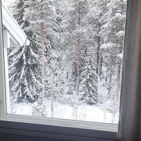 Naerhi Apartmán Rovaniemi